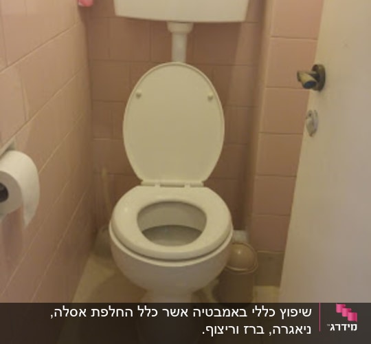 שירותים עם ניאגרה, מושב פתוח ונייר טואלט